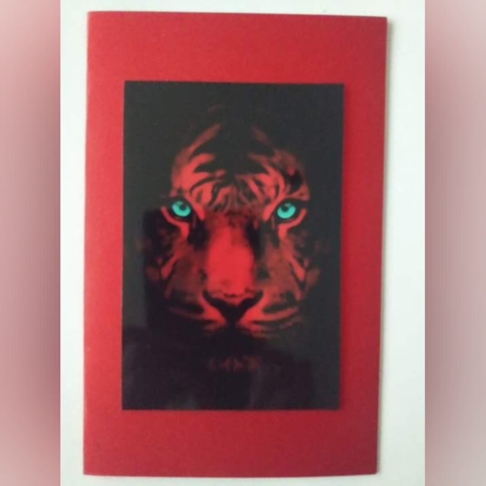 Tiger (2 diff pics. Choose one) photo portraits